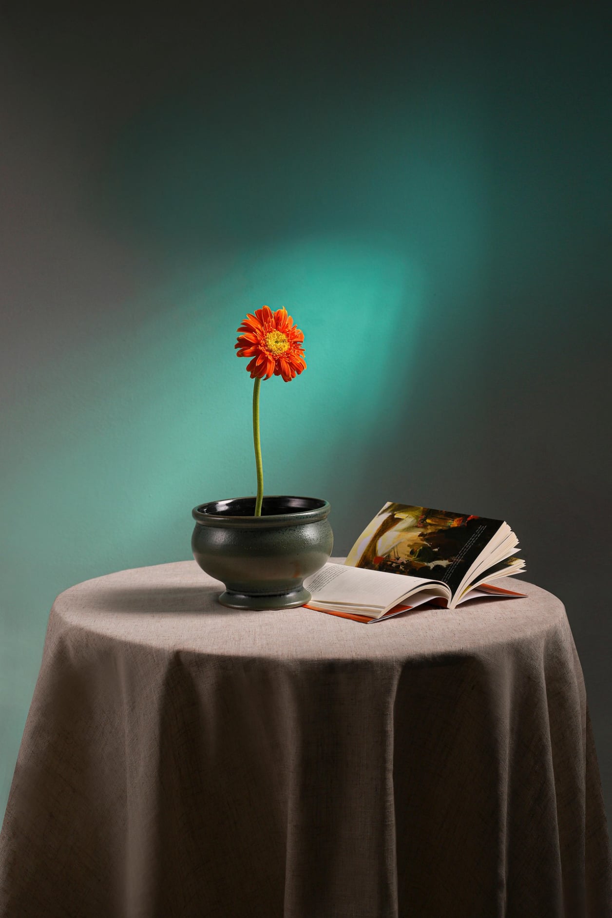 DADYMINDS PUBLISHING